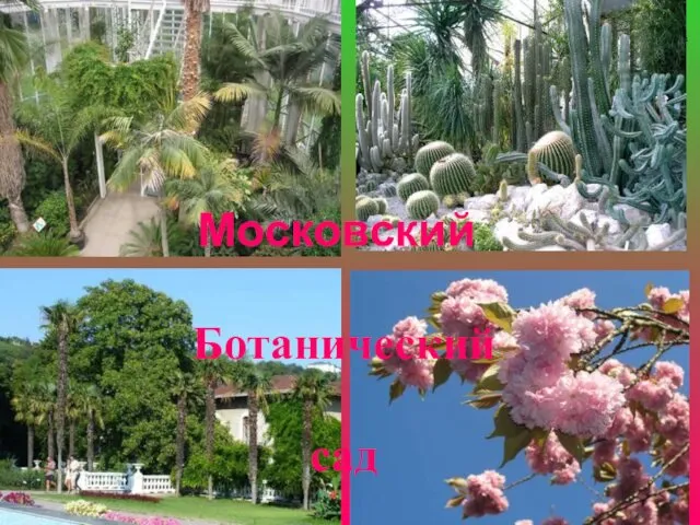 Московский Ботанический сад