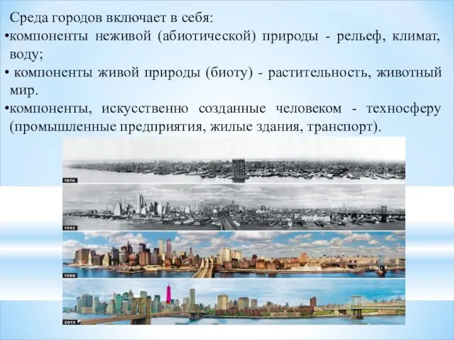 Среда городов включает в себя: компоненты неживой (абиотической) природы -