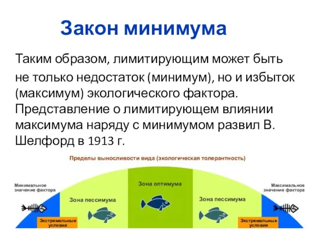 Закон минимума Таким образом, лимитирующим может быть не только недостаток