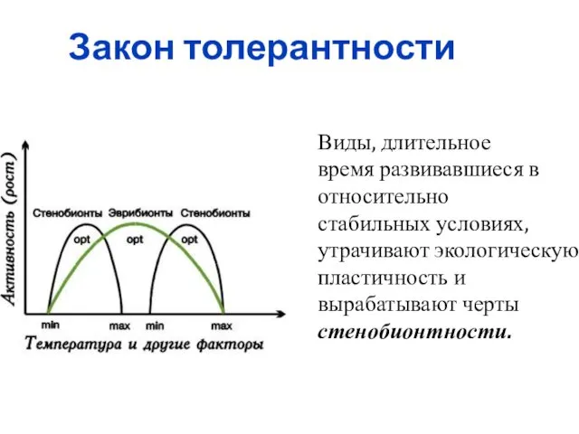 Закон толерантности Виды, длительное время развивавшиеся в относительно стабильных условиях,