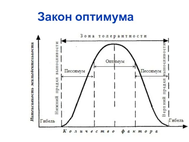 Закон оптимума