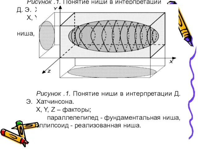 Рисунок .1. Понятие ниши в интерпретации Д. Э. Хатчинсона. X,