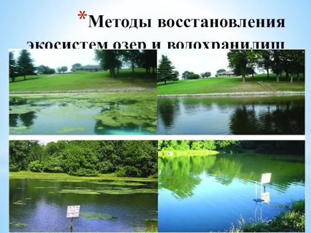 Методы восстановления экосистем озер и водохранилищ