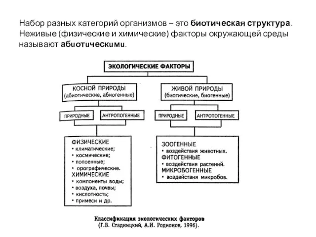 Набор разных категорий организмов – это биотическая структура. Неживые (физические