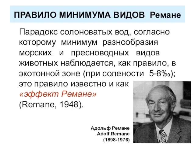 ПРАВИЛО МИНИМУМА ВИДОВ Ремане Парадокс солоноватых вод, согласно которому минимум