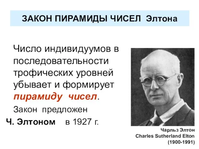 ЗАКОН ПИРАМИДЫ ЧИСЕЛ Элтона Число индивидуумов в последовательности трофических уровней