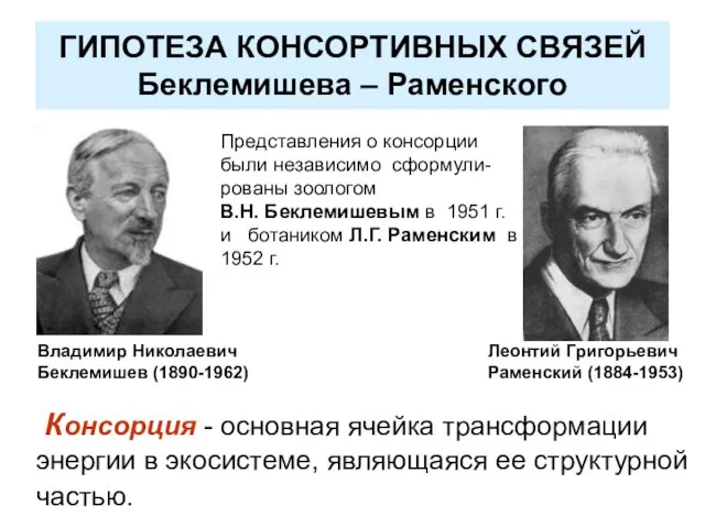 ГИПОТЕЗА КОНСОРТИВНЫХ СВЯЗЕЙ Беклемишева – Раменского Консорция - основная ячейка