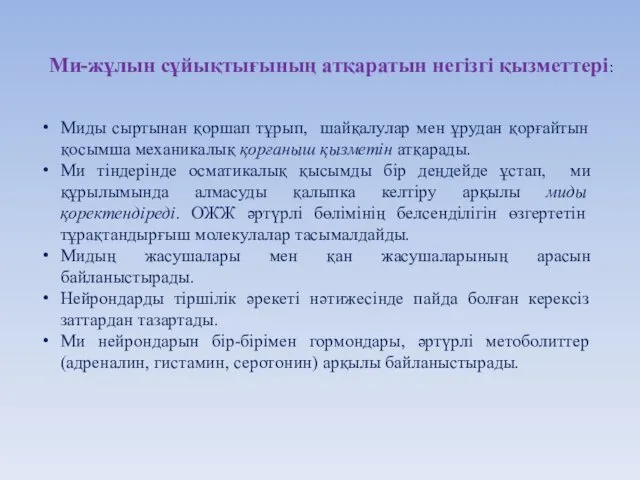 Миды сыртынан қоршап тұрып, шайқалулар мен ұрудан қорғайтын қосымша механикалық қорғаныш қызметін атқарады.