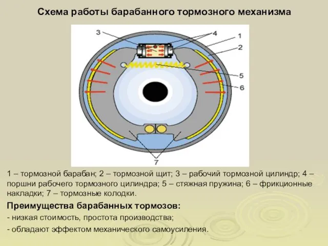 Схема работы барабанного тормозного механизма 1 – тормозной барабан; 2