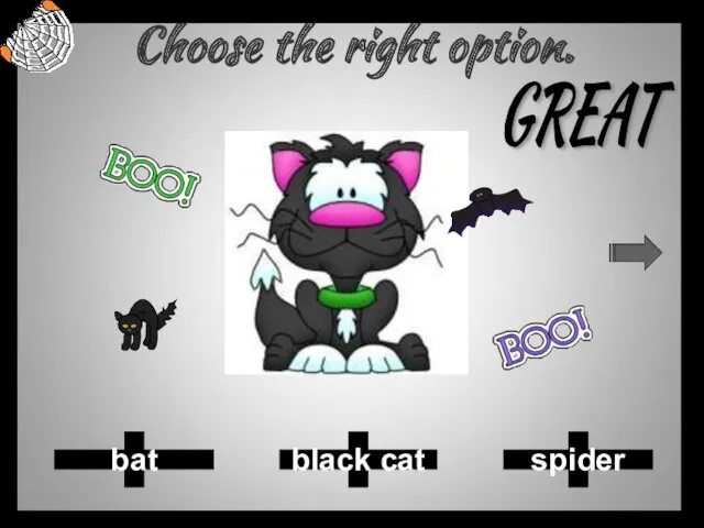 Choose the right option. spider black cat bat GREAT