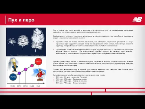 Пух и перо Пух – особый вид пера, который у