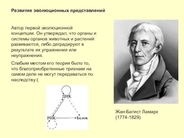 Развитие эволюционных представлений Жан-Батист Ламарк (1774-1829) Автор первой эволюционной концепции.