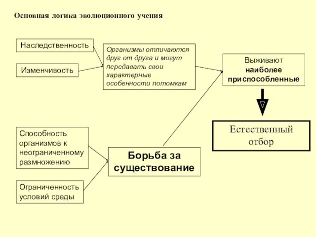 Основная логика эволюционного учения Наследственность Изменчивость Способность организмов к неограниченному