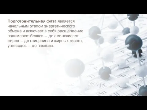 Подготовительная фаза является начальным этапом энергетического обмена и включает в