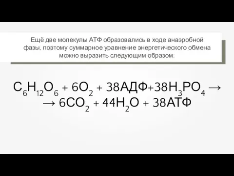 С6Н12О6 + 6О2 + 38АДФ+38Н3РО4 → → 6СО2 + 44Н2О + 38АТФ