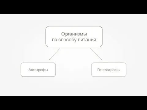 Организмы по способу питания