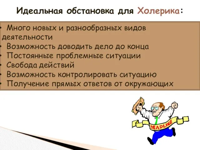 Идеальная обстановка для Холерика: Много новых и разнообразных видов деятельности