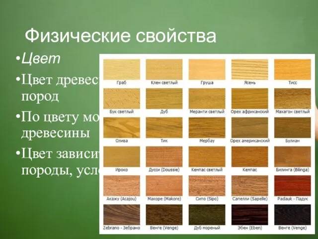 Физические свойства Цвет Цвет древесины различен у разных пород По