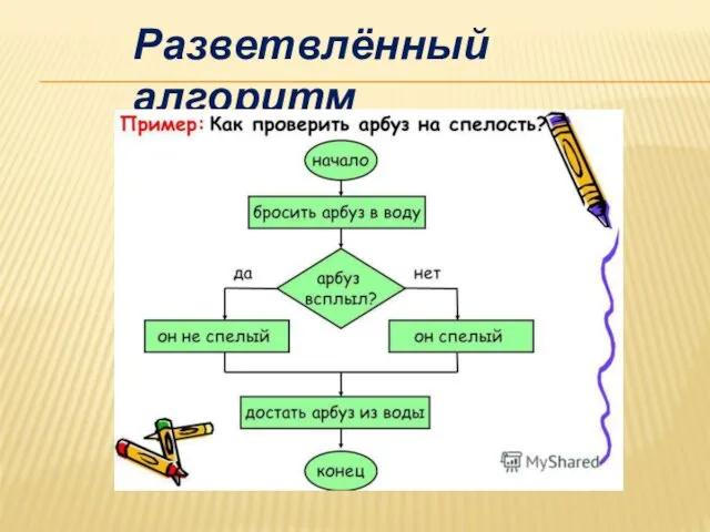 Разветвлённый алгоритм