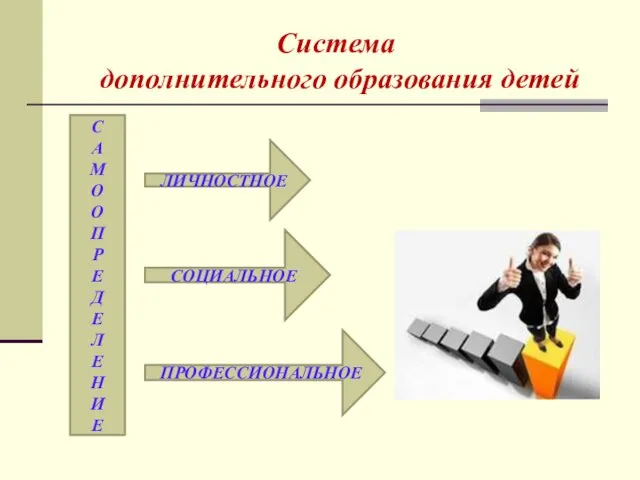 Система дополнительного образования детей С А М О О П