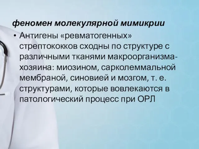 феномен молекулярной мимикрии Антигены «ревматогенных» стрептококков сходны по структуре с