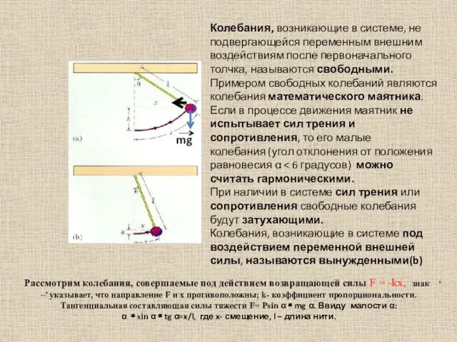 Колебания, возникающие в системе, не подвергающейся переменным внешним воздействиям после