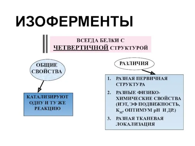 ИЗОФЕРМЕНТЫ ВСЕГДА БЕЛКИ С ЧЕТВЕРТИЧНОЙ СТРУКТУРОЙ ОБЩИЕ СВОЙСТВА КАТАЛИЗИРУЮТ ОДНУ