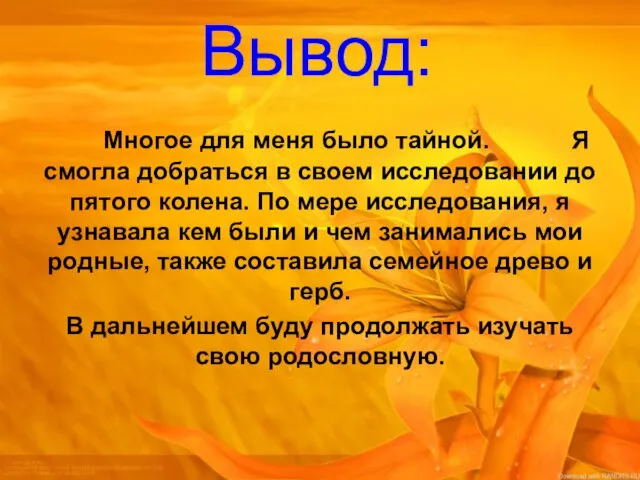 Вывод: Многое для меня было тайной. Я смогла добраться в