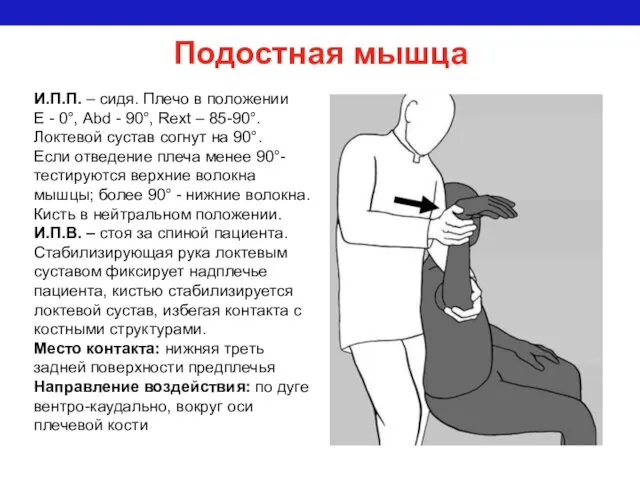 Подостная мышца И.П.П. – сидя. Плечо в положении Е -