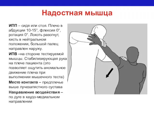 ИПП – сидя или стоя. Плечо в абдукции 10-15°, флексия