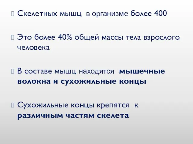 Скелетных мышц в организме более 400 Это более 40% общей массы тела взрослого