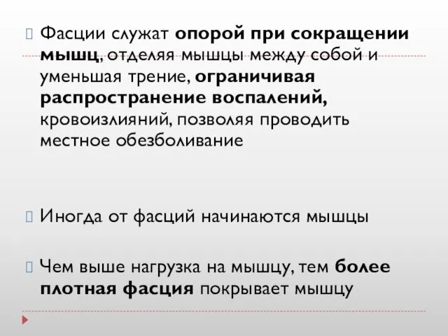 Фасции служат опорой при сокращении мышц, отделяя мышцы между собой