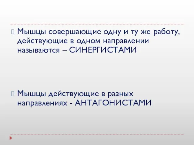 Мышцы совершающие одну и ту же работу, действующие в одном направлении называются –