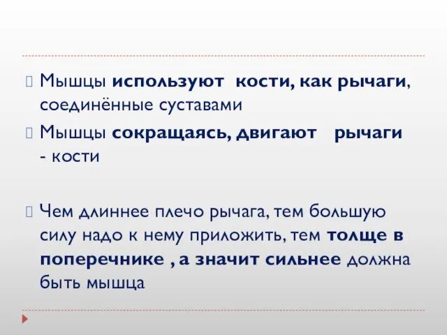 Мышцы используют кости, как рычаги, соединённые суставами Мышцы сокращаясь, двигают рычаги - кости