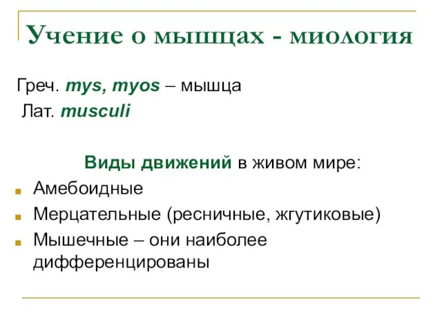 Учение о мышцах - миология Греч. mys, myos – мышца