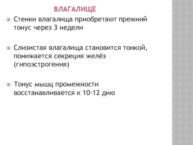 ВЛАГАЛИЩЕ Стенки влагалища приобретают прежний тонус через 3 недели Слизистая