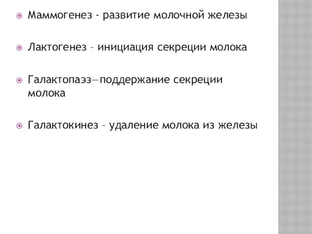 Маммогенез - развитие молочной железы Лактогенез – инициация секреции молока