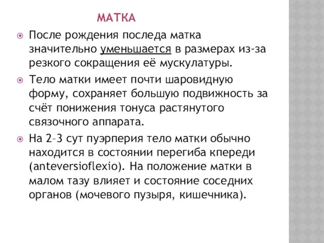 МАТКА После рождения последа матка значительно уменьшается в размерах из-за