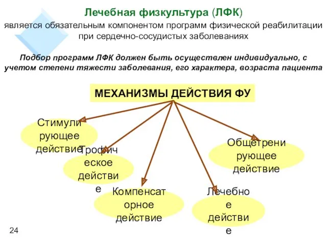 МЕХАНИЗМЫ ДЕЙСТВИЯ ФУ Стимулирующее действие Трофическое действие Компенсаторное действие Лечебное