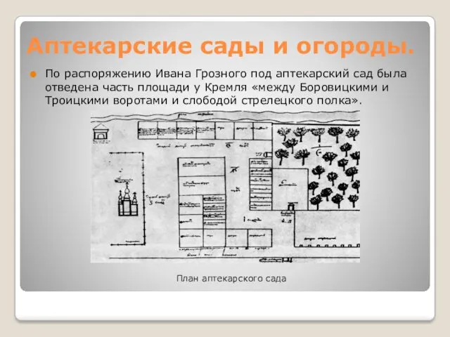 Аптекарские сады и огороды. По распоряжению Ивана Грозного под аптекарский сад была отведена