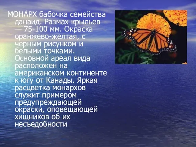 МОНА́РХ бабочка семейства данаид. Размах крыльев — 75-100 мм. Окраска оранжево-желтая, с черным