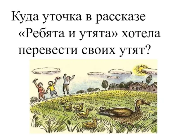 Куда уточка в рассказе «Ребята и утята» хотела перевести своих утят?