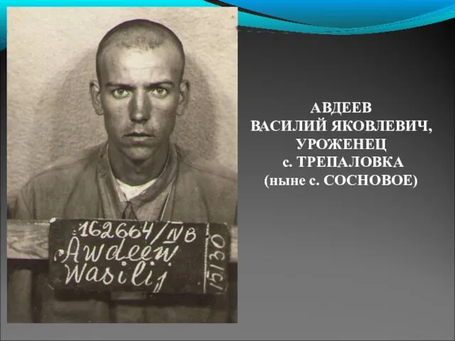 АВДЕЕВ ВАСИЛИЙ ЯКОВЛЕВИЧ, УРОЖЕНЕЦ с. ТРЕПАЛОВКА (ныне с. СОСНОВОЕ)