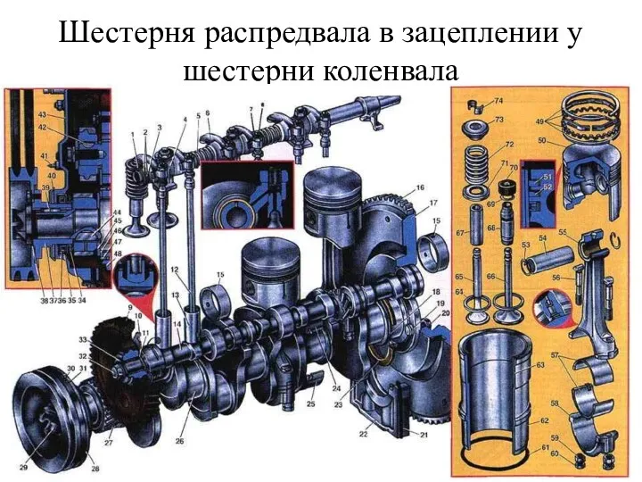 Шестерня распредвала в зацеплении у шестерни коленвала