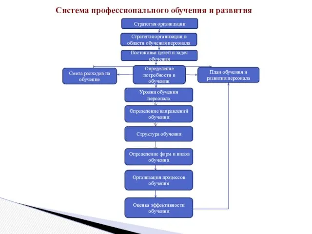 Система профессионального обучения и развития Стратегия организации Стратегия организации в