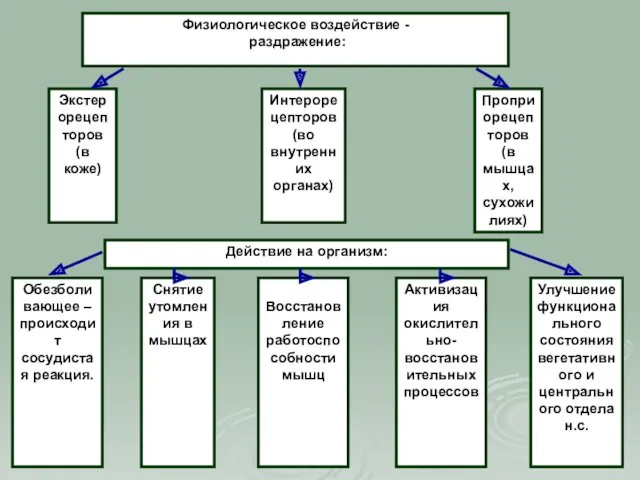 Физиологическое воздействие - раздражение: Экстерорецепторов (в коже) Интерорецепторов (во внутренних