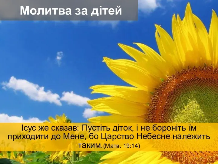 Ісус же сказав: Пустіть діток, і не бороніть їм приходити