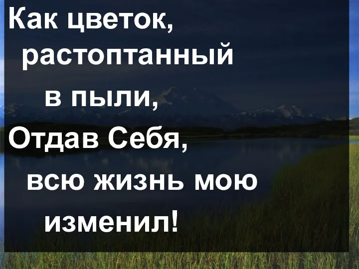 Как цветок, растоптанный в пыли, Отдав Себя, всю жизнь мою изменил!