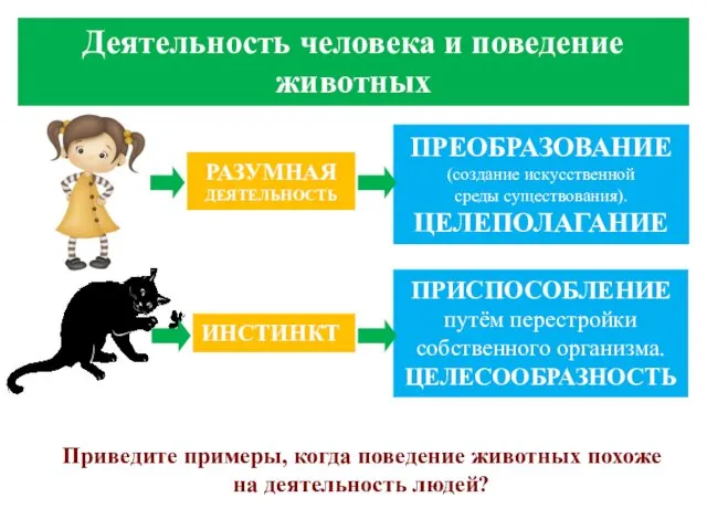 Приведите примеры, когда поведение животных похоже на деятельность людей? ИНСТИНКТ ПРИСПОСОБЛЕНИЕ путём перестройки