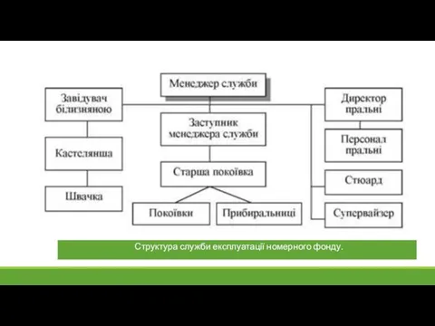 Структура служби експлуатації номерного фонду.